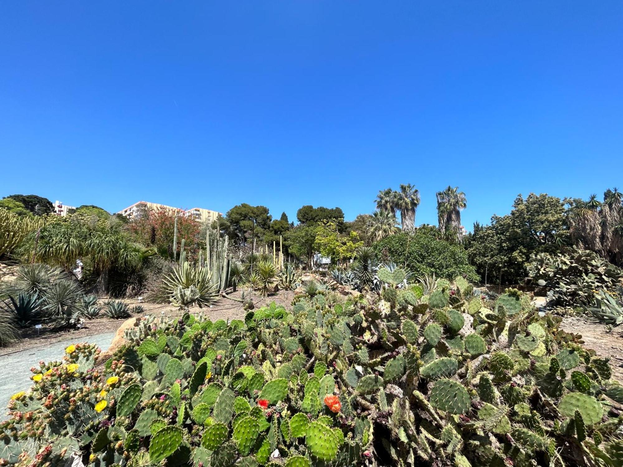 Acogedor Apartamento En Benalmadena Vistas Exterior foto